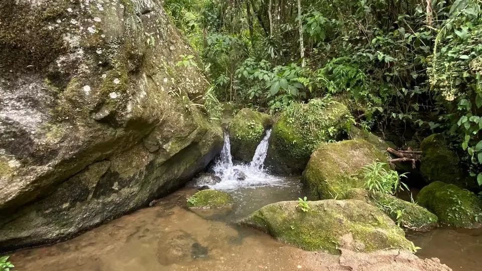 Cascata caindo entre pedras cobertas de musgo, no meio da mata
