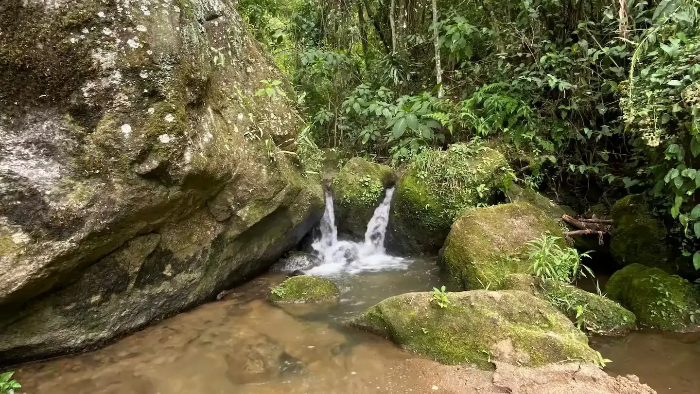 Cascata caindo entre pedras cobertas de musgo, no meio da mata